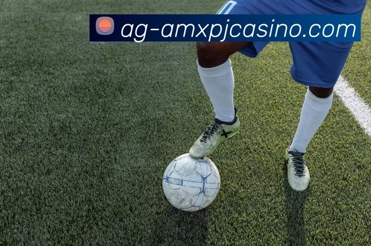 新葡京娱乐平台生态图