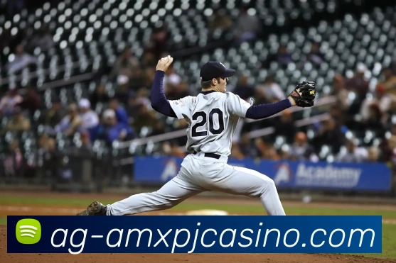 新葡京娱乐APP 封面图